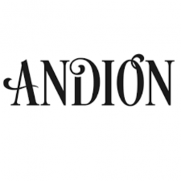 Andion